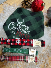 Load image into Gallery viewer, Jingle Paws Collar