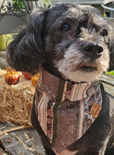 Load image into Gallery viewer, Green Fancy Bandana