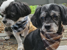 Load image into Gallery viewer, Chestnut Bandana