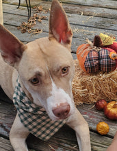 Load image into Gallery viewer, Green Autumn Bandana