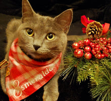 Load image into Gallery viewer, Candy Cane Bandana