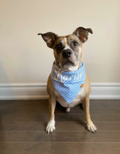 Load image into Gallery viewer, Preppy Blue Bandana