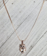 Load image into Gallery viewer, Owl Pendant Necklace