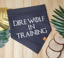 Load image into Gallery viewer, Create Your Own Bandana