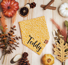 Load image into Gallery viewer, Pumpkin Everything Bandana