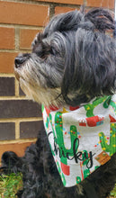 Load image into Gallery viewer, Cactus Christmas Bandana