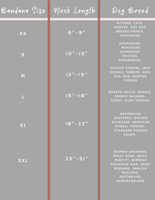 Load image into Gallery viewer, Birthday Prince - Black