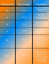 Load image into Gallery viewer, Paws & Bones Blue Bandana