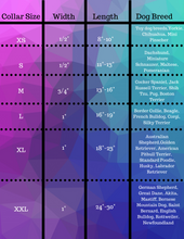 Load image into Gallery viewer, Yellow Mellow Set