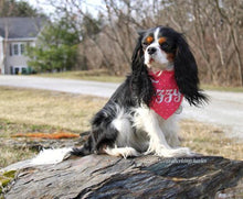 Load image into Gallery viewer, Polka Dot Bandana