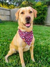 Load image into Gallery viewer, Santa Paws Bandana