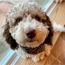 Load image into Gallery viewer, Black Floral Bandana