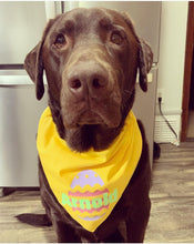 Load image into Gallery viewer, Easter Egg Bandana