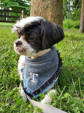 Load image into Gallery viewer, French Blue Bandana