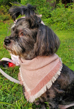 Load image into Gallery viewer, Blush Beauty Bandana