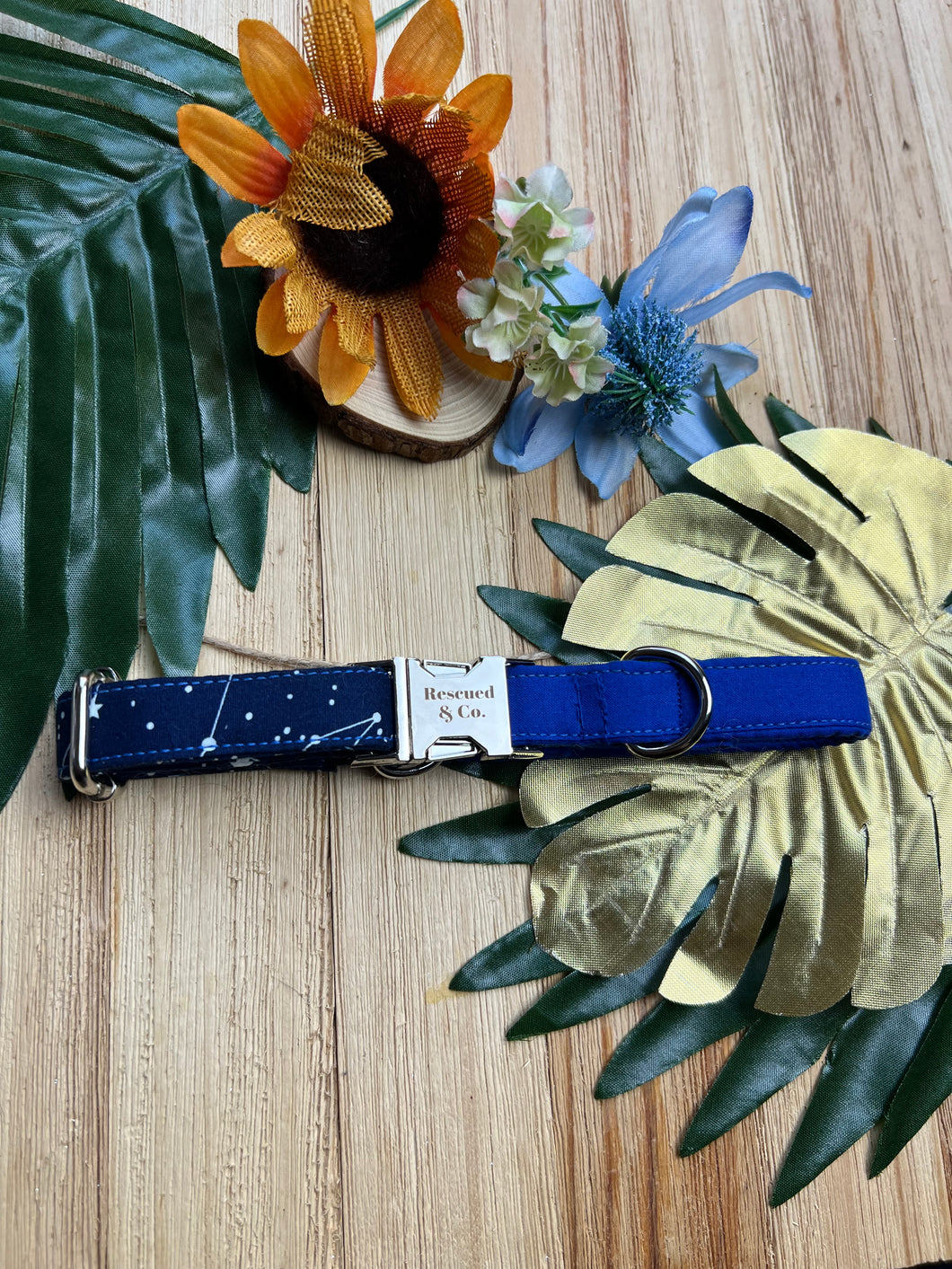 Star Constellation Two Tone Collar