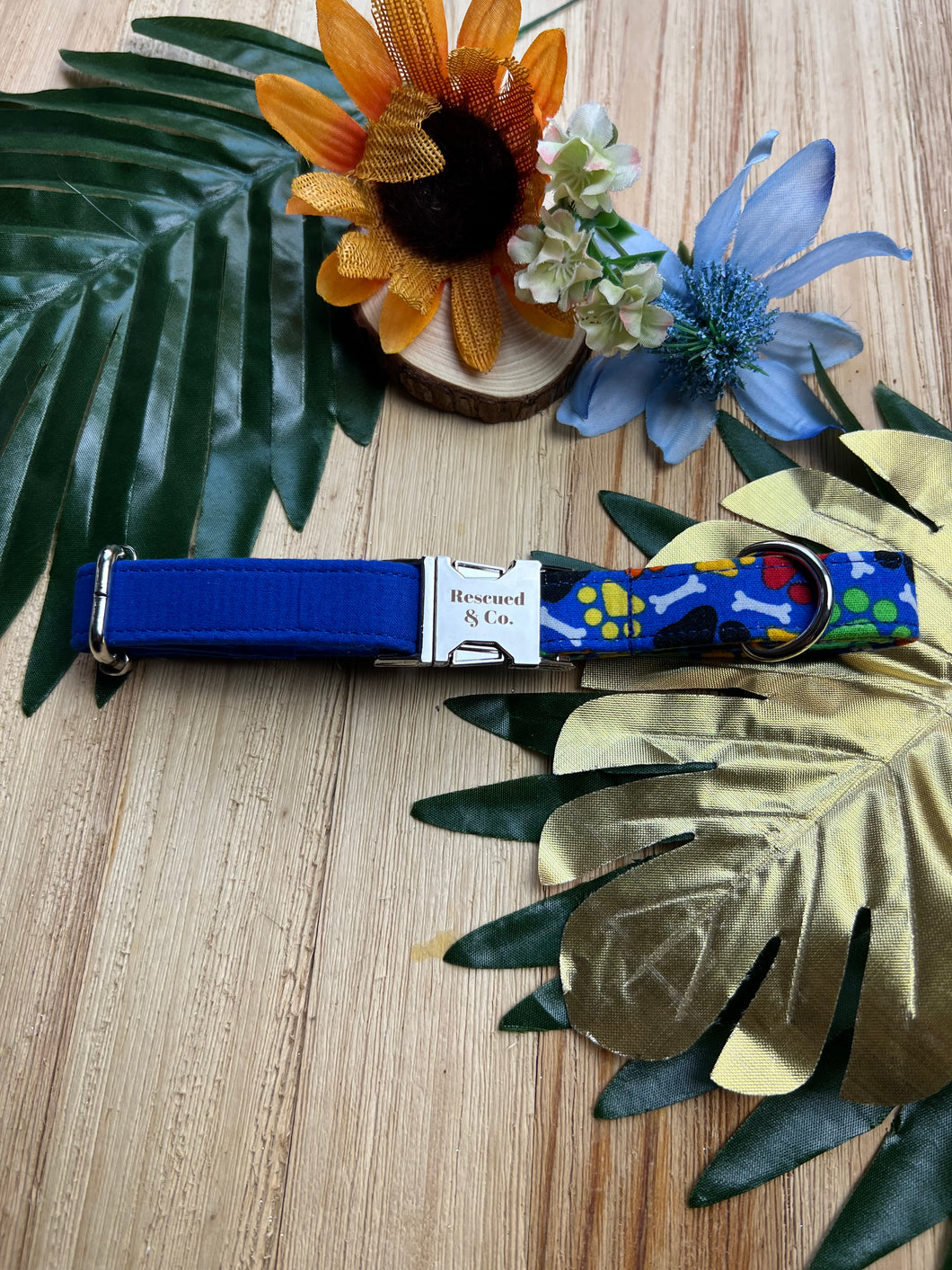 Paws + Bones Two Tone Collar