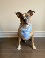 Load image into Gallery viewer, Preppy Blue Bandana

