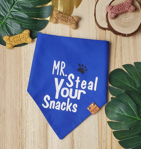 Mr. Steal Your Snacks / Miss Steal Your Snacks