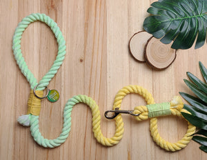 Lemon Lime Rope Leash